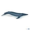Bébé baleine bleue
