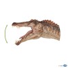 Spinosaurus Aegyptiacus - Édition limitée
