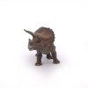 Triceratops