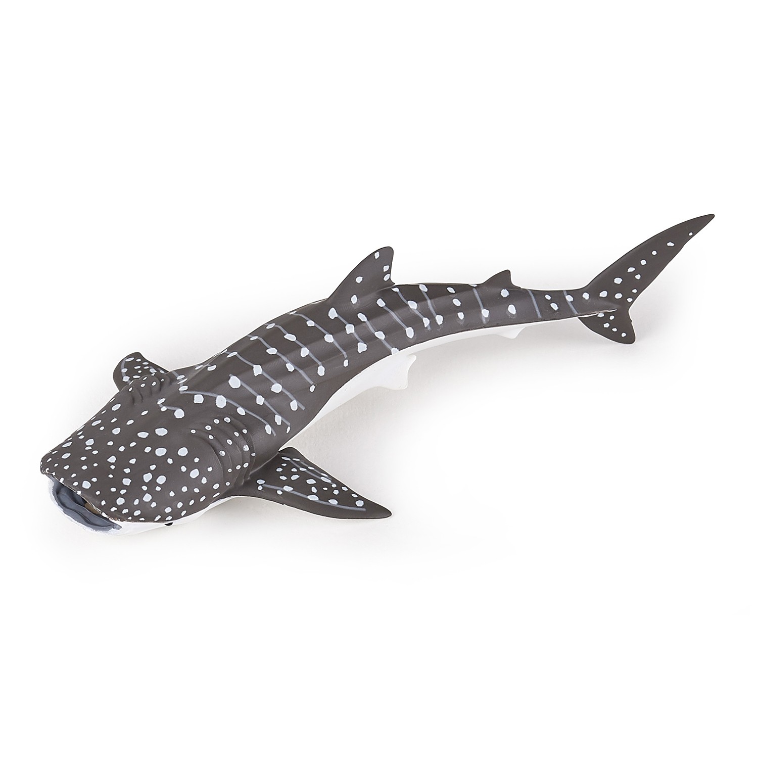 pebbles whale shark