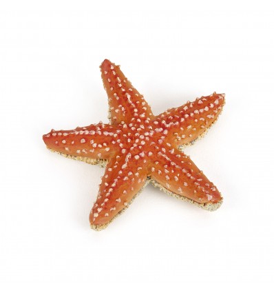 Starfish