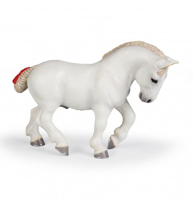 Percheron blanc