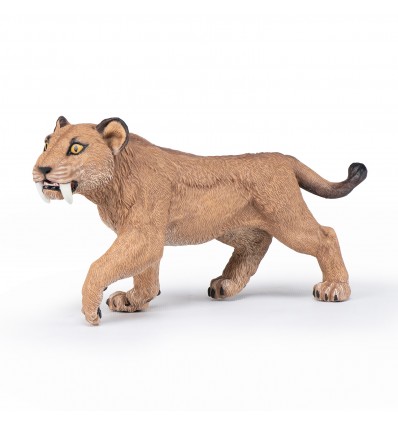 Jeune smilodon