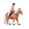 Poney Shetland avec selle