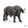 African buffalo