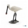 Eurasian spoonbill