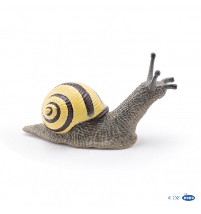 Grove snail