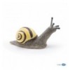 Grove snail