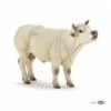 Charolais cow mooing