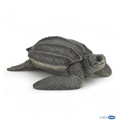 Leatherback turtle