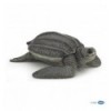 Leatherback turtle