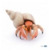 Hermit crab