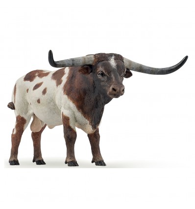 Taureau Longhorn