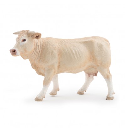 Veau Charolais