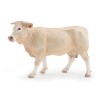 Veau Charolais