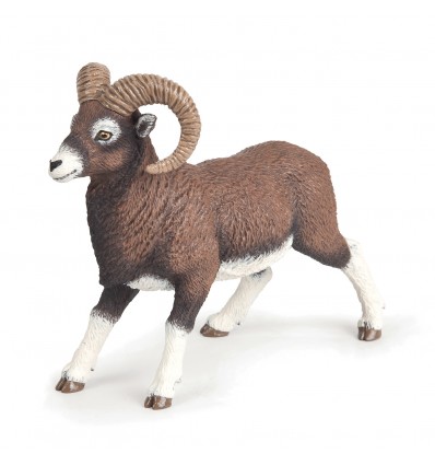 Mouflon