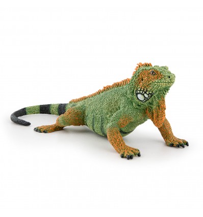 Iguane