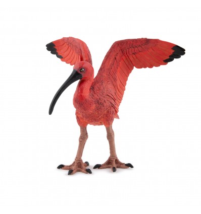 Roter Ibis