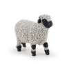 Valais Blacknose Sheep