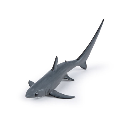 Tresher shark