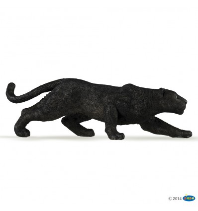 Black leopard