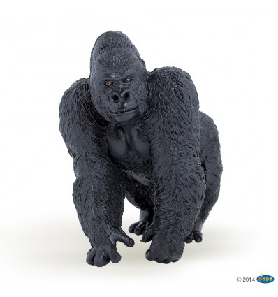 Gorilla