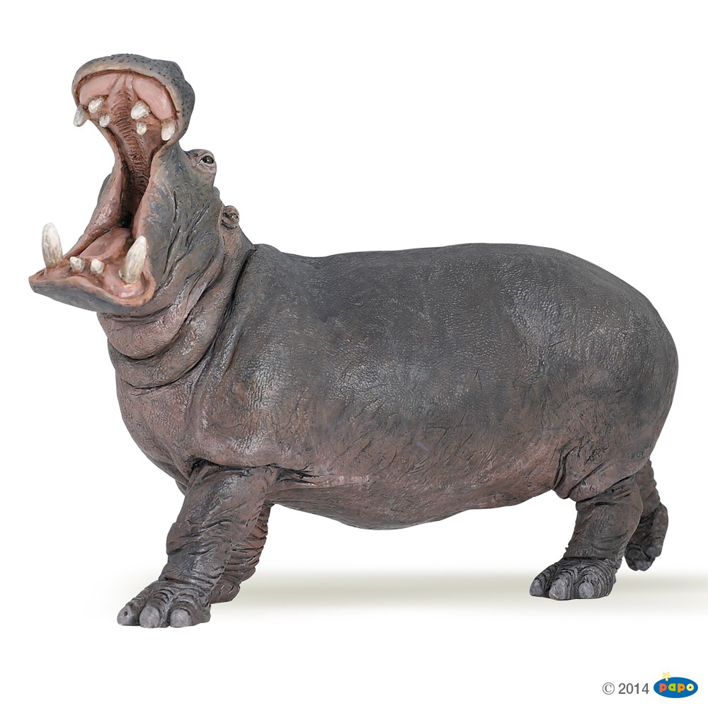 papo hippo