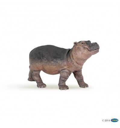 Bébé hippopotame 