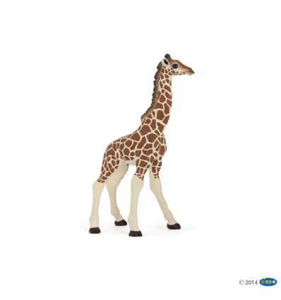 Giraffenjunges