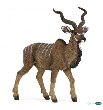 Kudu-Antilope