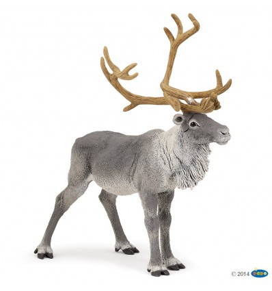 Reindeer