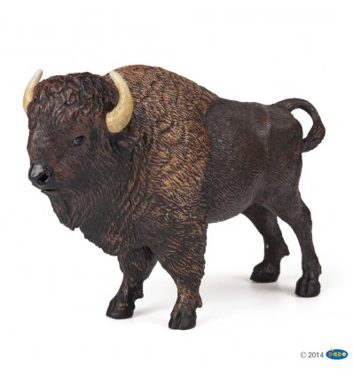 American buffalo