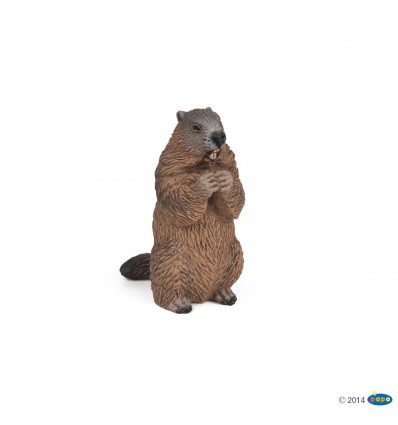 Marmot