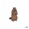 Marmot