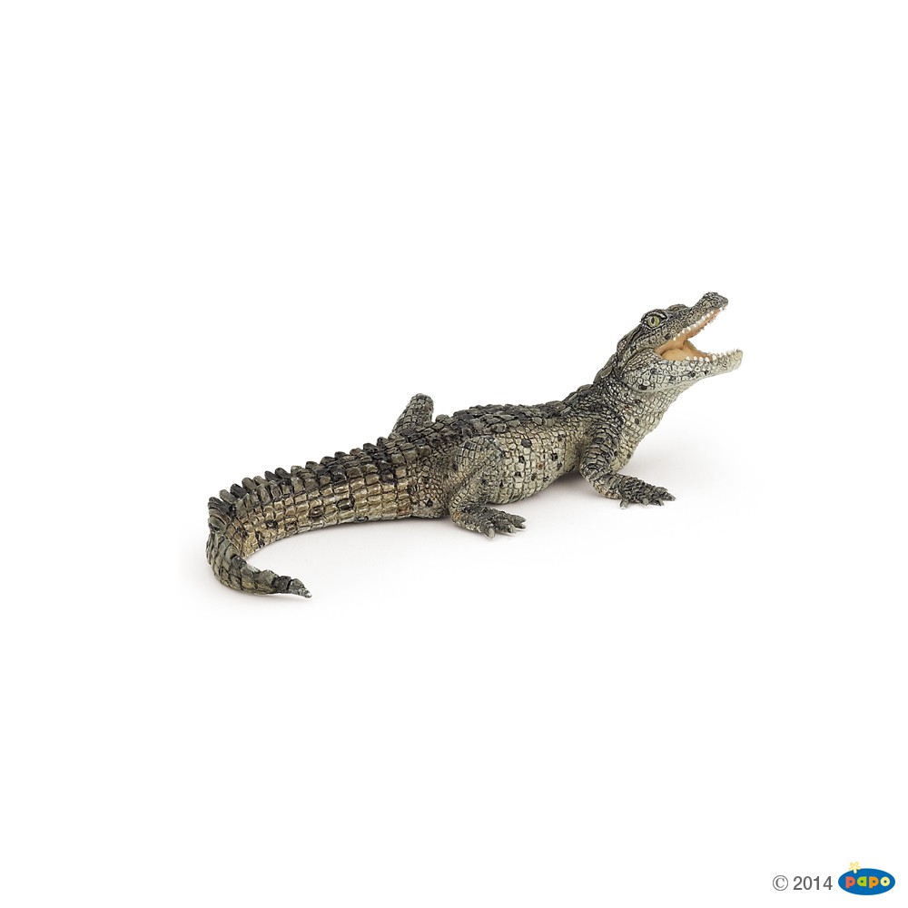 Figurine Bébé crocodile