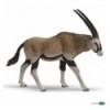 Antilope oryx