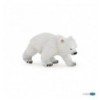 Bébé ours polaire marchant