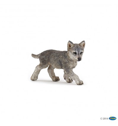 Grey wolf cub