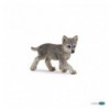 Grey wolf cub