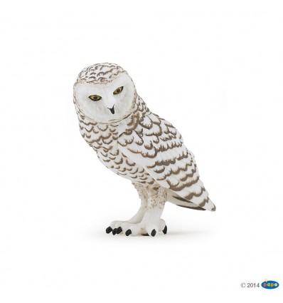 Snowy owl