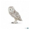 Snowy owl