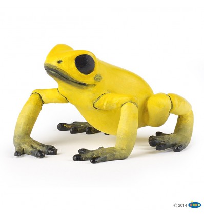 Grenouille équatoriale jaune