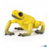 Yellow equatorial frog