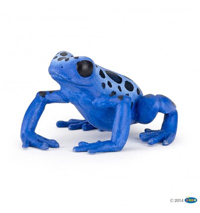 Blauer äquatorial Frosch