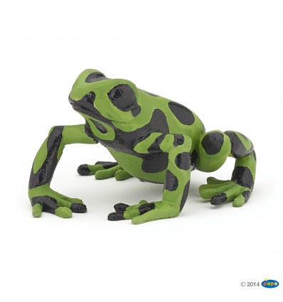 Equatorial green frog