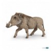 Warthog