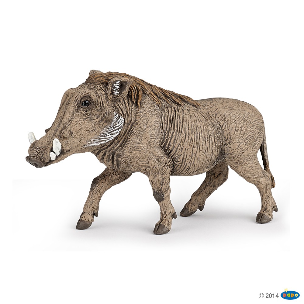 papo warthog