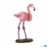 Flamant rose