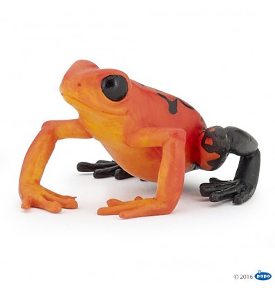 Red equatorial frog