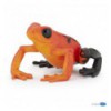 Red equatorial frog